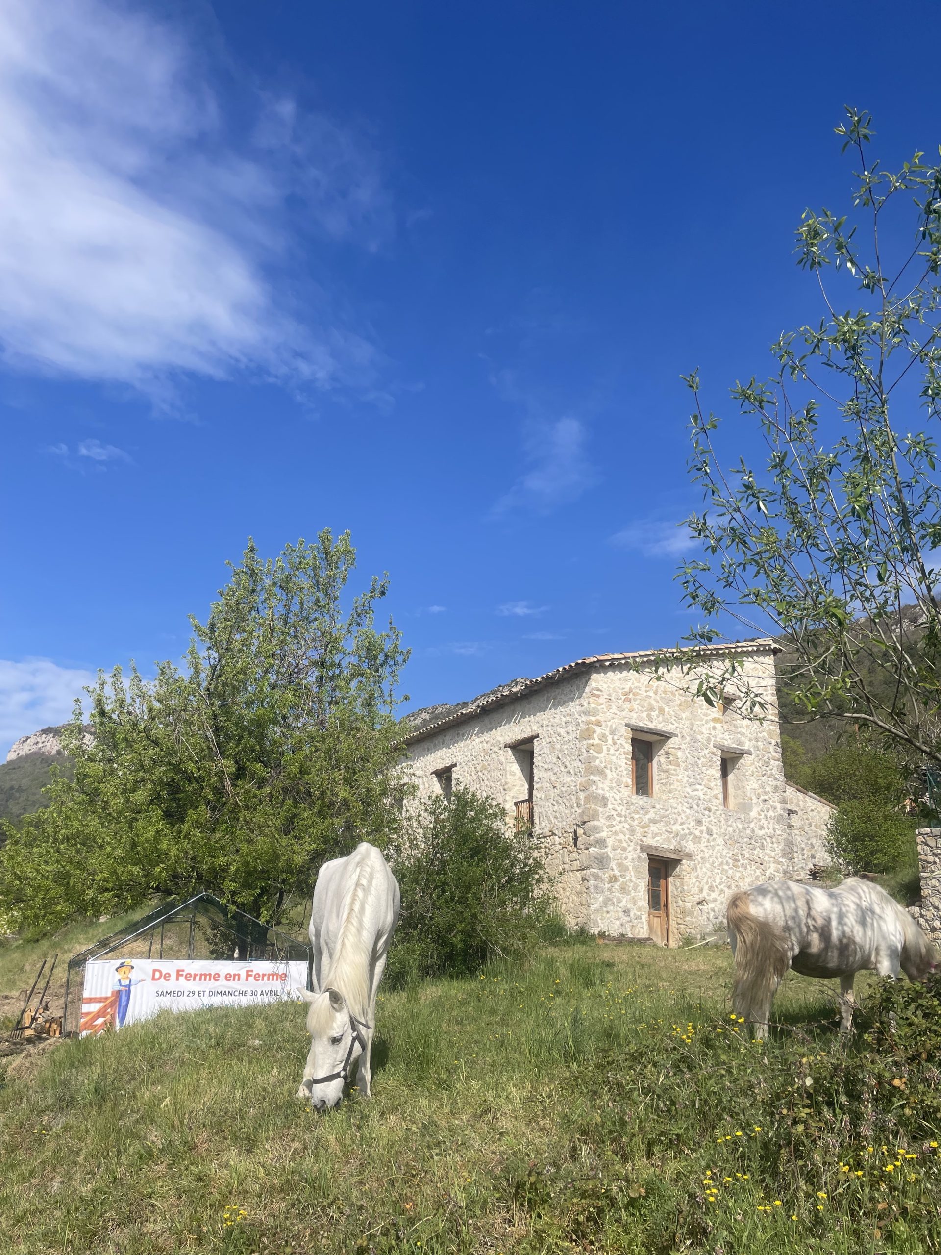 De Ferme En Ferme 2023 De Ferme En Ferme 2023